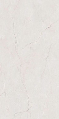 Керамогранит BELLEZA Cason Grey Carving 60х120