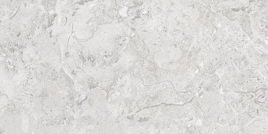 Керамогранит Infinity Ceramica Elegance Grey Glossy Silver Line 60x120