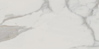 Керамогранит Edilcuoghi Statuario Matte 60х120