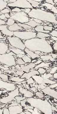 Керамогранит Atlas Concorde Italy HCLZ Calacatta Viola Polished 6mm 160x320