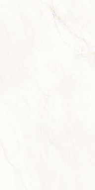 Керамогранит Eternal ETMAR1321GL60120 Bianco Oro Glossy 60x120