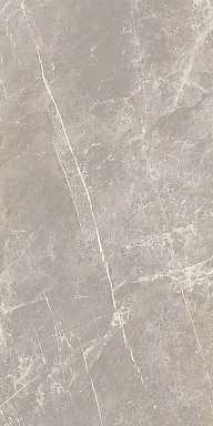 Керамогранит Cerim 766528 Elemental Grey Dolomia Luc Ret 60x120