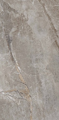 Керамогранит PrimaVera PR209 Essence Grey Polished 600x1200