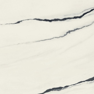 Керамогранит Атлас Конкорд Россия 610015000648 Forte dei Marmi Panda White Lapp 80x80