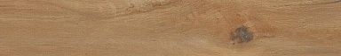 Керамогранит Serenissima Cir Leccio Oliato Ret 20x120