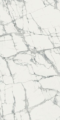 Керамогранит Italon 610015000496 Charme Deluxe Инвизибл Уайт Пат Рет 60x120