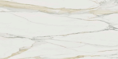 Керамогранит Rex Ceramiche 753296 I Classici Calacatta Gold Matte Ret 60x120