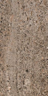Керамогранит Casa Dolce Casa 785603 Rinascenza Basamento Terra Matte 60x120