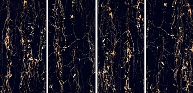 Керамогранит Art Ceramic Portoro Gold High gloss 60*120