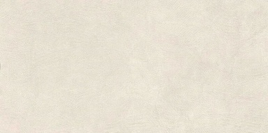 Керамогранит Vitra K958031R0001VTER SandBark Слоновая Кость Матовый R10B Ректификат 60x120