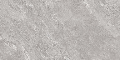 Керамогранит Global Tile GT5010027401MCR Виталити Серый 50x100