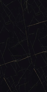 Керамогранит Eurotile 905 GOLDEN BLACK 80х160