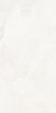 Керамогранит Ava Ceramica 199021 Noble Stone White 3D Satin Ret 60х120