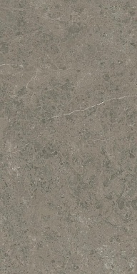 Керамогранит Atlas Concorde Italy AJIA Marvel Meraviglia Grigio Elegante Lapp. 120x240