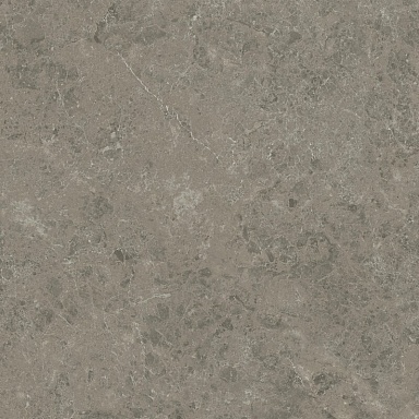 Керамогранит Atlas Concorde Italy AJIF Marvel Meraviglia Grigio Elegante Lapp. 120x120