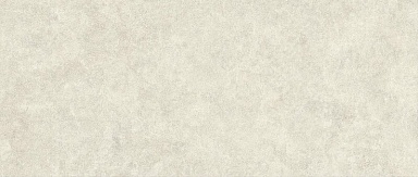 Плитка Atlas Concorde Italy AYQM Boost Icor Bone Field Matte 50x120