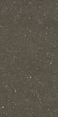 Керамогранит Casa Dolce Casa 785511 Rinascenza Arena Platino Grip 20mm 60x120