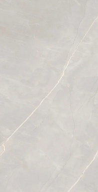 Керамогранит Artcer Marble Royalish Grey 120x60