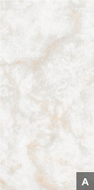 Керамогранит NT Ceramic NTT3019P (A) Li Susu Dragon 120x240