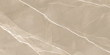 Керамогранит New Trend 60120ESE21P Essential Marron полированный 600x1200x7