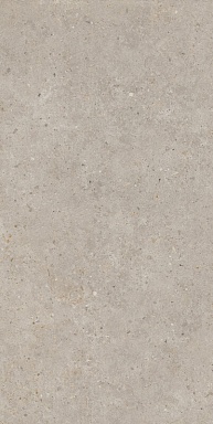 Керамогранит Kerama Marazzi SG540620R Риккарди бежевый матовый обрезной 60х119,5
