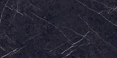 Керамогранит Eurotile 7930138702589 Pietra Negro High Glossy 60x120