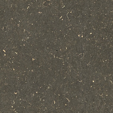 Керамогранит Casa Dolce Casa 785499 Rinascenza Arena Platino Grip 60x60