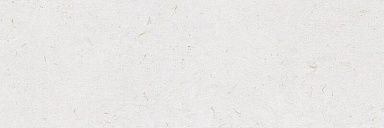 Плитка Ibero R0002307 Botanical Lino Rect. 30x90