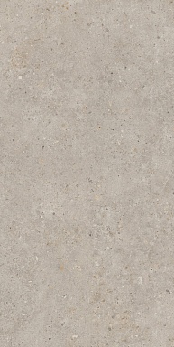 Керамогранит Kerama Marazzi SG540620R Риккарди бежевый матовый обрезной 60х119,5