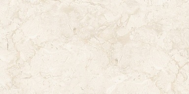 Керамогранит NT Ceramic NTT99523C Stone Almond Endless 60x120