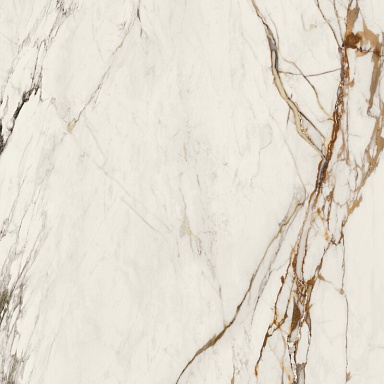 Керамогранит Porcelanosa 100331160 Xlight Paonazzo Biondo Silk 120x120