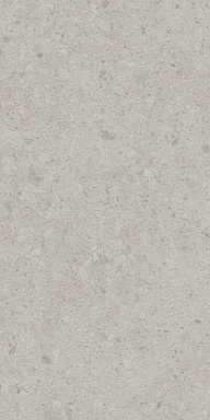 Керамогранит Kerama Marazzi DD591200R Чеппо ди Гре серый светлый матовый обрезной 119,5x238,5x1,1