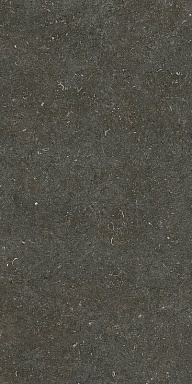Керамогранит Casa Dolce Casa 785577 Rinascenza Arena Platino Matte 6mm 60x120