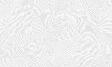 Плитка Gracia Ceramica Nature white 04 30х50