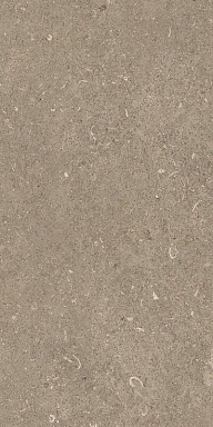 Керамогранит Casa Dolce Casa 785502 Rinascenza Arena Pietra Grip 30x60