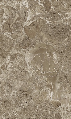 Плитка Gracia Ceramica Saloni brown 02 30*50