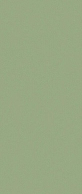 Керамогранит Janye Slab JS6024P Pine Green Matt 120x280