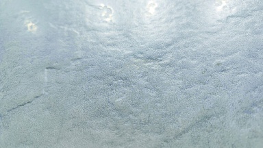 Керамогранит Basconi Home BHW-0023 Cateye Light Grey Grains Soft-Polished Mould 600x1200x10