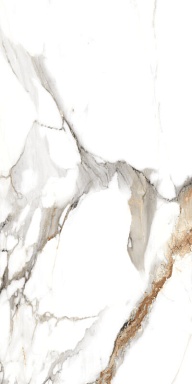 Керамогранит Artcer 890 Classic Carrara 120x60