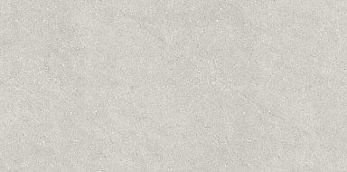 Керамогранит Neodom N110007 Liberty Grey Matt 60x120