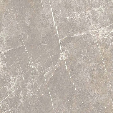 Керамогранит Cerim 766956 Elemental Grey Dolomia Luc Ret 60x60