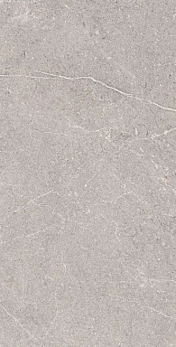 Керамогранит Arcadia Ceramica RG6001-A Equistone Gris Rotto Glossy Ink 60x120