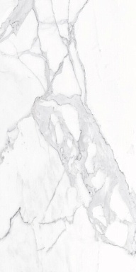 Керамогранит Alpas Euro Eco Marble 6291 Polished 60x120