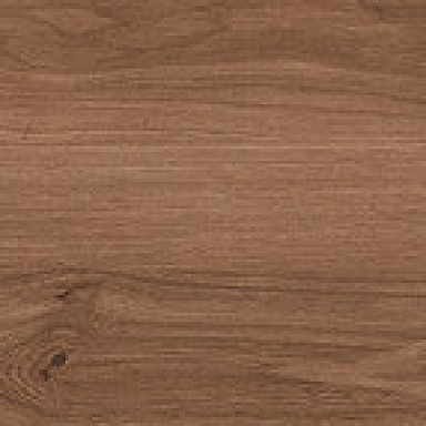 Canarium Brown Laparet