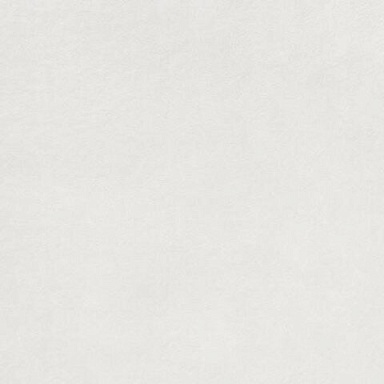 Керамогранит RAKO DAR4H722 Extra white 45x45