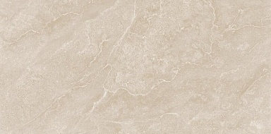 Керамогранит Neodom N20761 Etna Bone Carving Str 60x120
