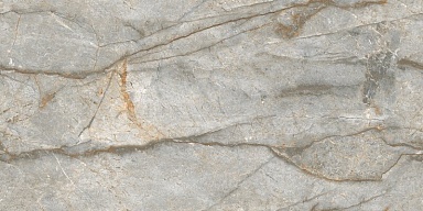 Керамогранит NT Ceramic NTT99517M Forest Carving 60x120