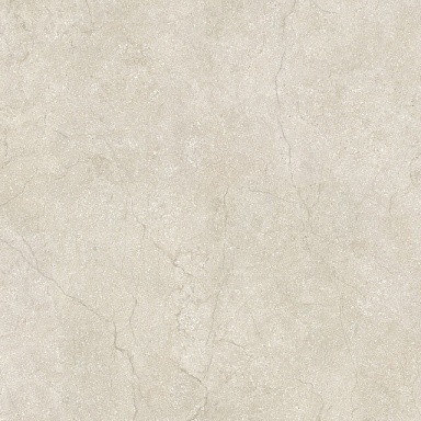 Керамогранит Cerim 778698 Stone Life Shell Matte Ret 60x60