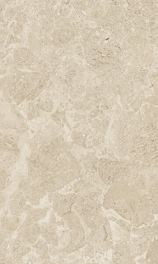 Плитка Gracia Ceramica Saloni brown 01 30*50