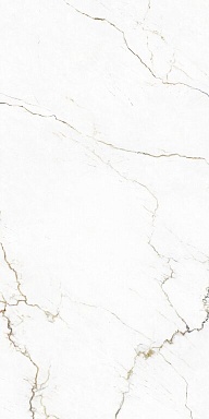Керамогранит Tagina 127044 Segesta Caramel Nat Ret 60x120